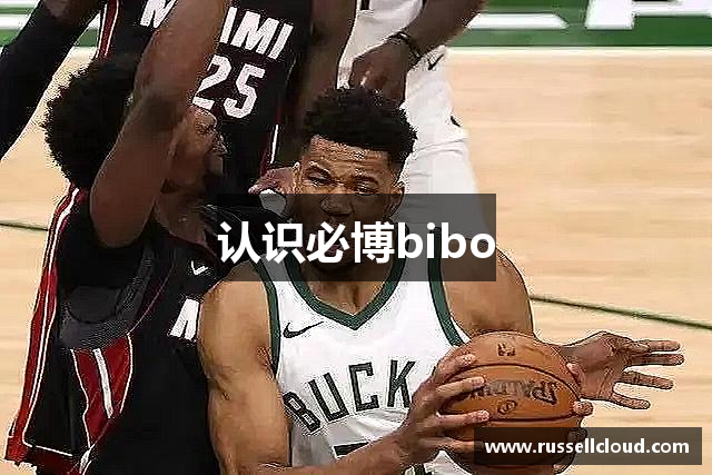 认识必博bibo